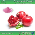 Pomegranate Juice Powder Manufacturer - Organic Powder Extract