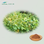 Cat's Claw Extract Supplier - 4:1-20:1 TLC NutraMax