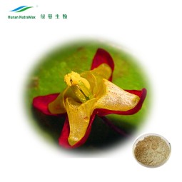 Horny Goat Weed Extract Factory - 10:1 Bulk Men Healthcare