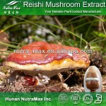 Reishi Mushroom Powder Factory - Lingzhi Extract Powder Wholesale