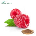 Red Raspberry Extract Manufacturer - 4:1-20:1 Seed P.E. China