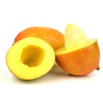 African Mango Extract Supplier - Seed Powder Weight Loss