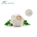 Garlic Extract Supplier - 1%-5% Allicin Deodorized Health Care