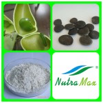 Griffonia Seed Extract Manufacturer - 99% 5-HTP Bulk Powder