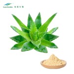 Aloe Vera Powder Factory - Cosmetics Ingredients Natural Extract