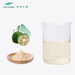 Monk Fruit Extract Powder Factory - Mogrosides 80% China Manufacturer