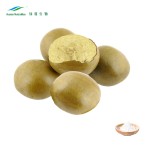 Monk Fruit Extract Powder Factory - Mogrosides 80% China Manufacturer