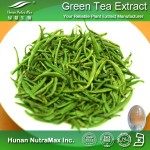 Green Tea Leaf Extract Supplier - Plant Herb Natural Raw