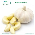 Garlic Extract Supplier - 1%-5% Allicin Deodorized Health Care