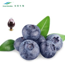 Blueberry Fruit Extract Factory - Powder Good Solubility Natural