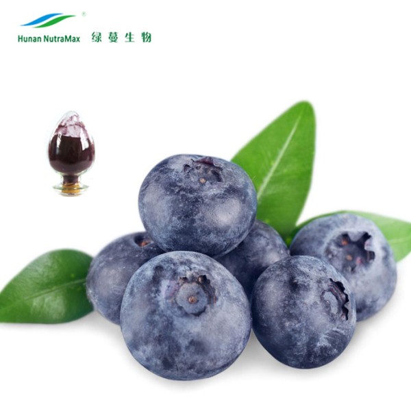 Blueberry Fruit Extract Factory - Powder Good Solubility Natural