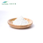 Monk Fruit Extract Powder Factory - Mogrosides 80% China Manufacturer