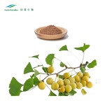 Ginkgo Biloba Extract Factory - 24/6 Standardized Extract Powder