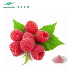 Red Raspberry Extract Manufacturer - 4:1-20:1 Seed P.E. China