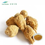 Maca Extract Supplier - Herbal Organic Wholesale Powder