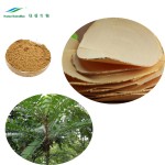 Tongkat Ali Extract Manufacturer - Plant Herbal Extract Powder