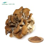 Maitake Mushroom Extract Factory - Grifolan Polysaccharide 10%-40%