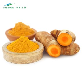 Turmeric Extract Manufacturer - 10%-95% Curcumin Carcuma Longa
