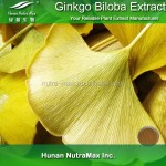 Ginkgo Biloba Extract Factory - 24/6 Standardized Extract Powder