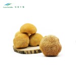 Lions Mane Mushroom Extract Manufacturer - Polysaccharides Dietary Supplements