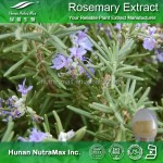 Rosemary Leaf Extract Supplier - Plant Extract Oil Natural