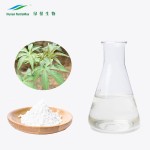 Rubus Leaf Extract Supplier - 70% Rubusosides Chinese Sweet Leaf