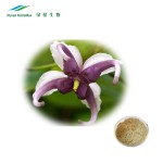Epimedium Extract Supplier - 60% Icariin Leaf Powder HPLC