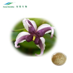Epimedium Extract Supplier - 60% Icariin Leaf Powder HPLC