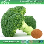 Broccoli Seed Extract Manufacturer - 1% Sulforaphane Powder