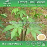 Rubus Leaf Extract Supplier - 70% Rubusosides Chinese Sweet Leaf