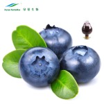 Blueberry Fruit Extract Factory - Powder Good Solubility Natural