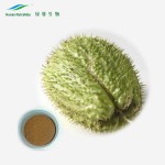 Graviola Extract Factory - Leaf Fruit Extract Powder