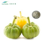 Garcinia Cambogia Extract Factory - 50%-70% HCA Powder CGMP