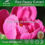 Paeonia Root Extract Supplier - Albiflora Root P.E. Powder