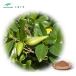 Gymnema Sylvestre Extract Factory - Plant Herbal Leaf Extract
