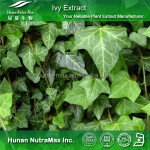 Ivy Extract Powder Factory - 100% Pure 4:1-20:1 Natural