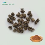 Cat's Claw Extract Supplier - 4:1-20:1 TLC NutraMax