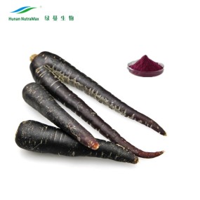 Black Carrot Powder Supplier - Juice Concentrate Liquid Powder