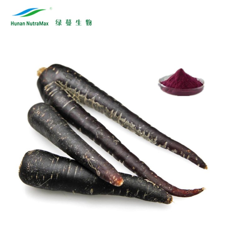 Black Carrot Powder Supplier - Juice Concentrate Liquid Powder