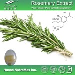 Rosemary Leaf Extract Supplier - Plant Extract Oil Natural