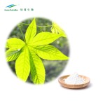 Sweet Tea Extract Manufacturer - Rubusoside 70%-85% Natural Ingredient