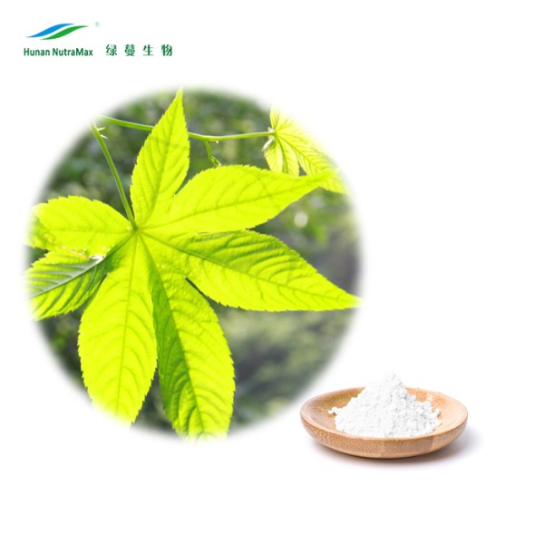 Sweet Tea Extract Manufacturer - Rubusoside 70%-85% Natural Ingredient