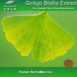 Ginkgo Biloba Extract Factory - 24/6 Standardized Extract Powder