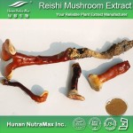 Ganoderma Lucidum Extract Manufacturer - 1kg Reishi Mushroom Powder
