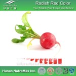 Radish Red Powder Manufacturer - Natural Food Coloring Pigment