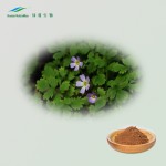 Cat's Claw Extract Supplier - 4:1-20:1 TLC NutraMax