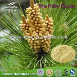 Pine Pollen Powder Manufacturer - Natural Extract Powder NutraMax