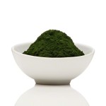 Chlorella Vulgaris Extract Supplier - 10:1 Protein 50% Supplement