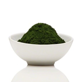 Chlorella Vulgaris Extract Supplier - 10:1 Protein 50% Supplement