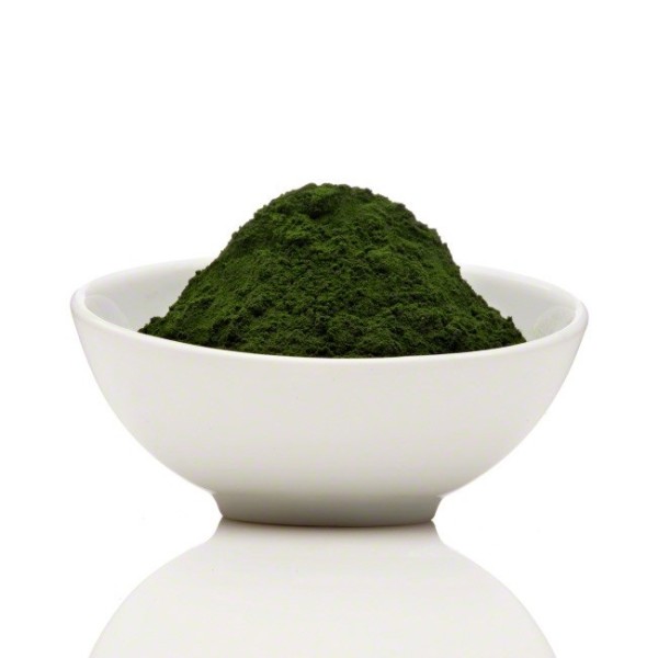 Chlorella Vulgaris Extract Supplier - 10:1 Protein 50% Supplement